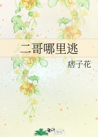 《二哥哪里逃》