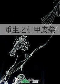 《重生之机甲废柴》