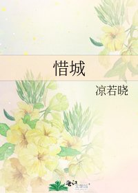 《惜城》