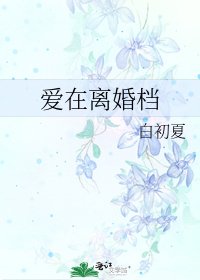 《愛在離婚檔》