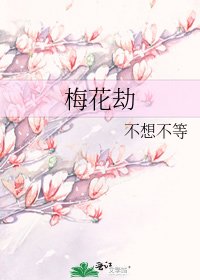 梅花劫