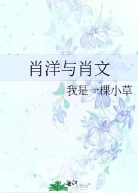 肖洋与肖文