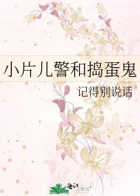 《小片儿警和捣蛋鬼》
