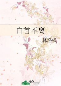《白首不离》