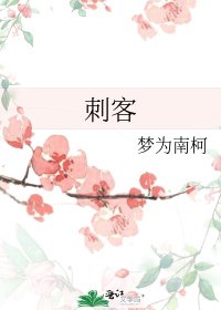 《刺客》