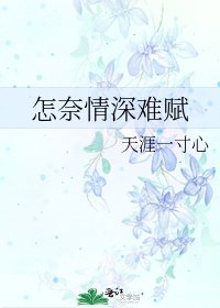 怎奈情深难赋