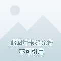 穿成殘疾大佬的團寵啾