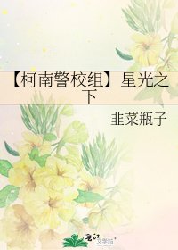 【柯南警校组】星光之下