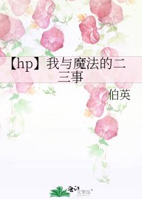 《【hp】我与魔法的二三事》