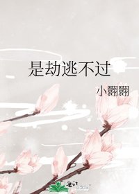 《是劫逃不過》