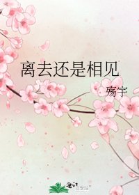 离去还是相见