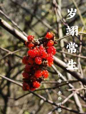 岁翊常生