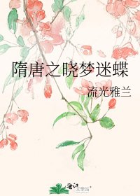 隋唐之晓梦迷蝶
