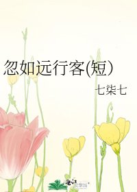 《忽如远行客(短)》