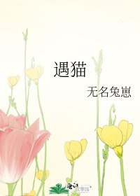 《遇猫》