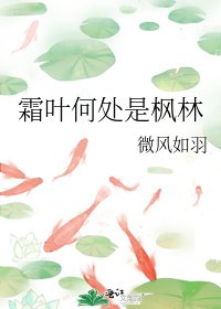 《霜葉何處是楓林》