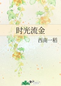 《时光流金》