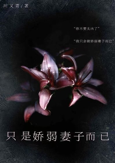 只是哈弱妻子而已