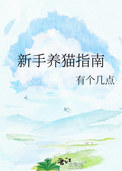 新手养猫指南