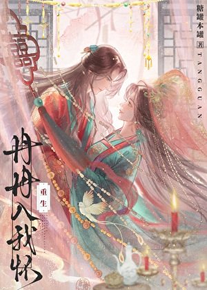 《重生後和怨夫破鏡重圓了》