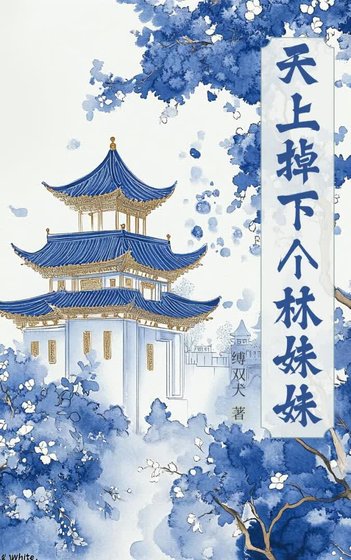 《天上掉下個林妹妹》