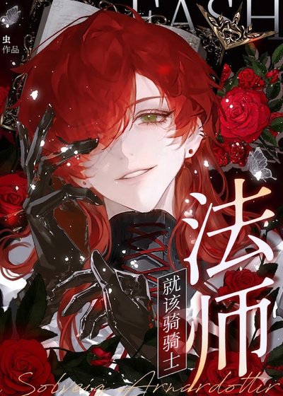 《法师就该法骑士》