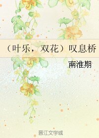 (BL/全职同人)(叶乐,双花)叹息桥