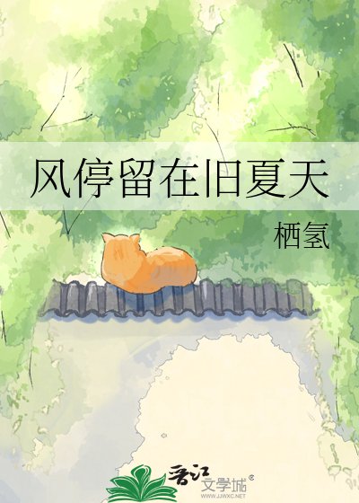 风停留在旧夏天