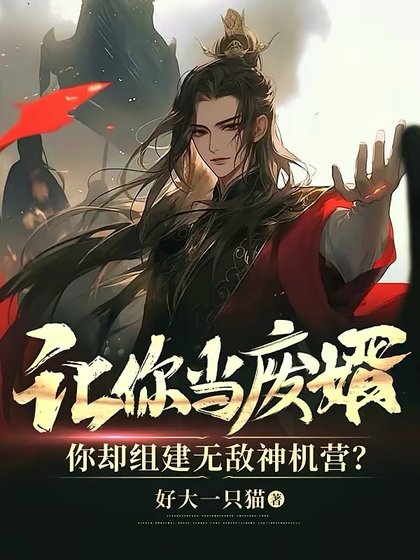 《让你当废婿,你却组建无敌神机营?》