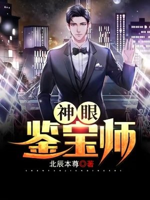 《神眼鉴宝师》