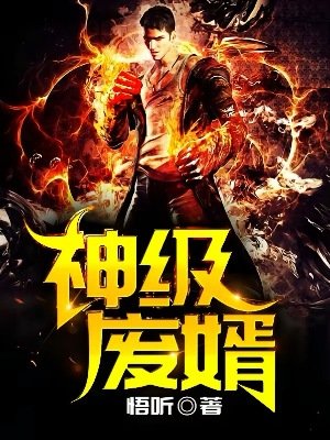 《神级废婿》