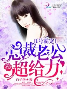 《1號霸寵:總裁老公,超給力! 》