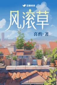 风厢草
