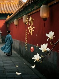 《(綜影視同人)清穿,步步成為四爺的心間人》
