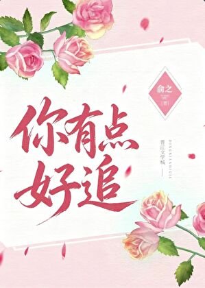 《你有点好追》