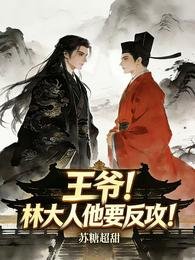《王爷!林大人他要反攻!》