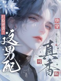 嚏穿:男当总在逆袭