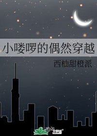 《小嘍囉的偶然穿越》