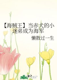 《【海贼王】当赤犬的小迷弟成为海军》