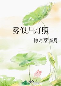 《霧似歸燈照》