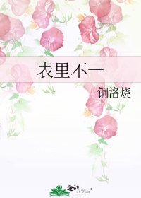 《表里不一》