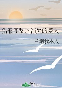 《猎罪图鉴之消失的爱人》
