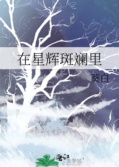 《在星辉斑斓里》