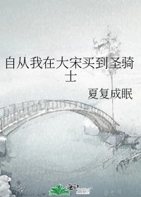 自从我在大宋买到圣骑士