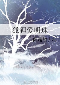 《狐狸爱明珠》