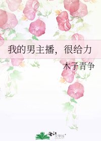 《我的男主播,很給力》