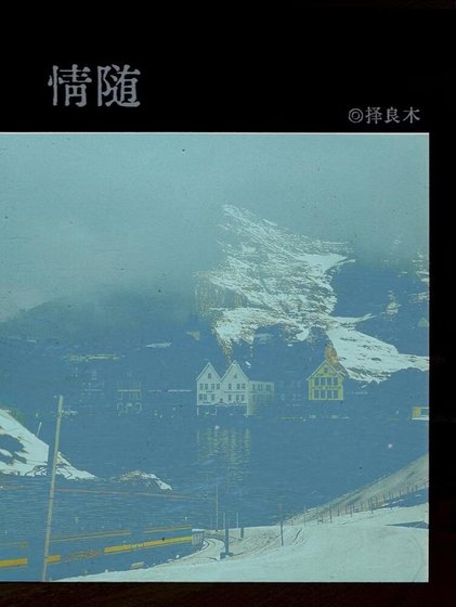 《情随》