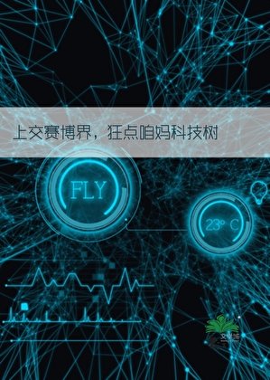 背靠祖國，制霸賽博！