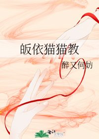 《皈依貓貓教》