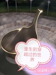 《重生到穿越過的世界》